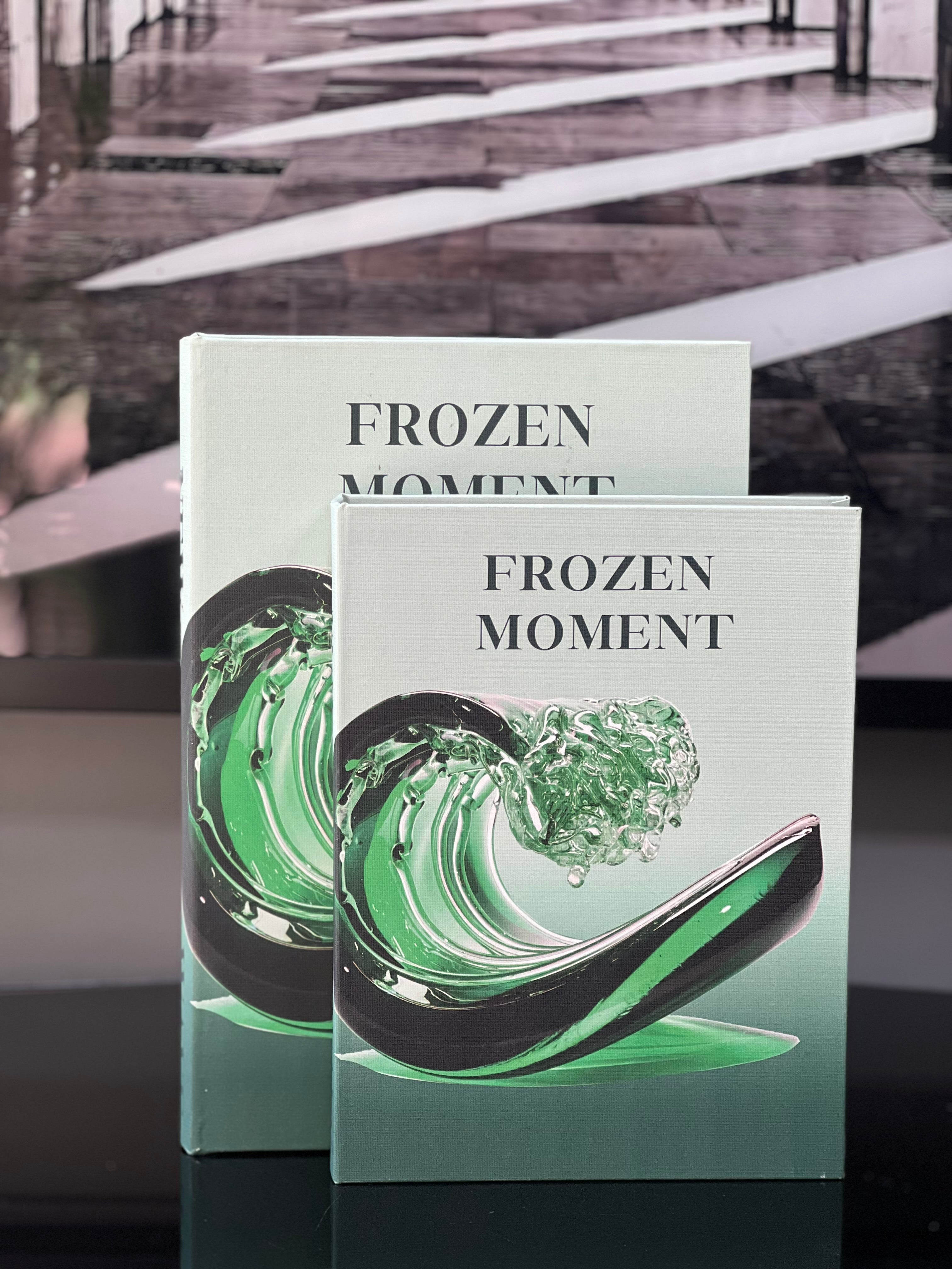 Kitap Kutu  Frozen Moment 2 li