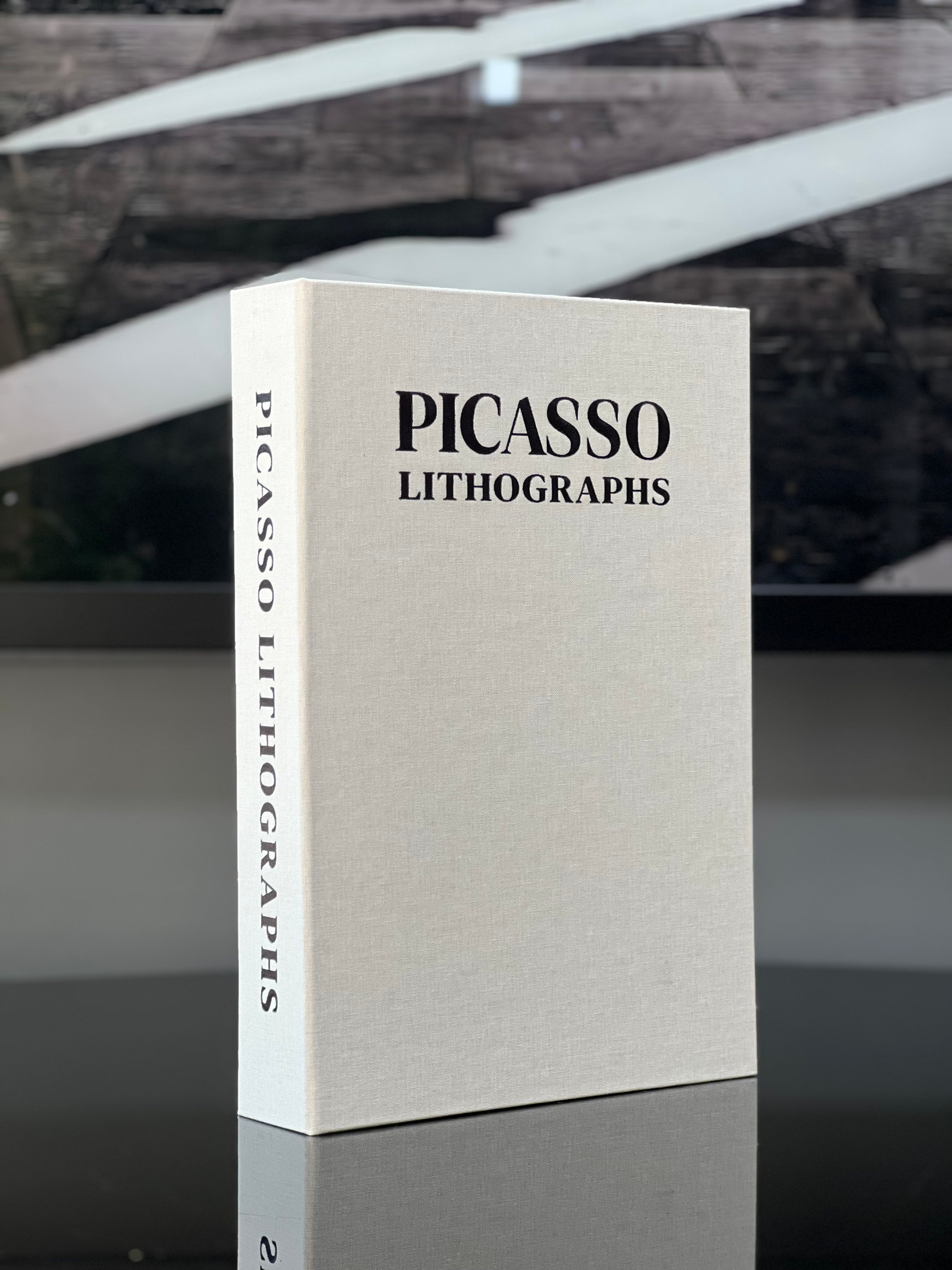 Kitap Kutu Kumaş Kaplı Picasso